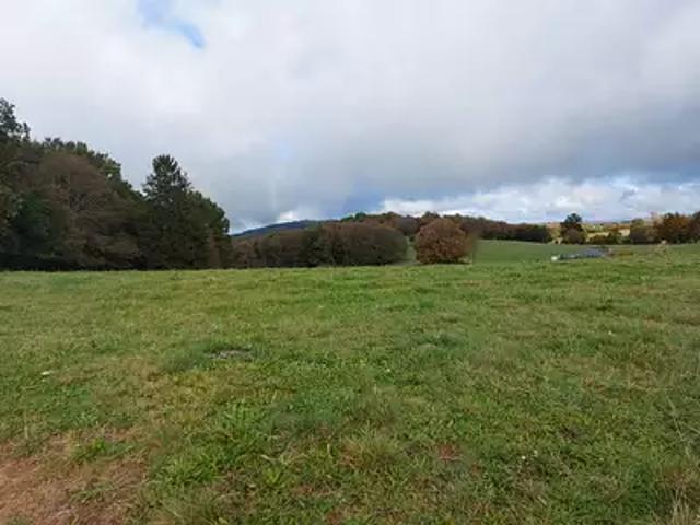 Terrain vente à Brive-la-Gaillarde, Palazinges