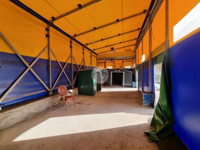 Palazzo in affitto a Camaldoli, Napola