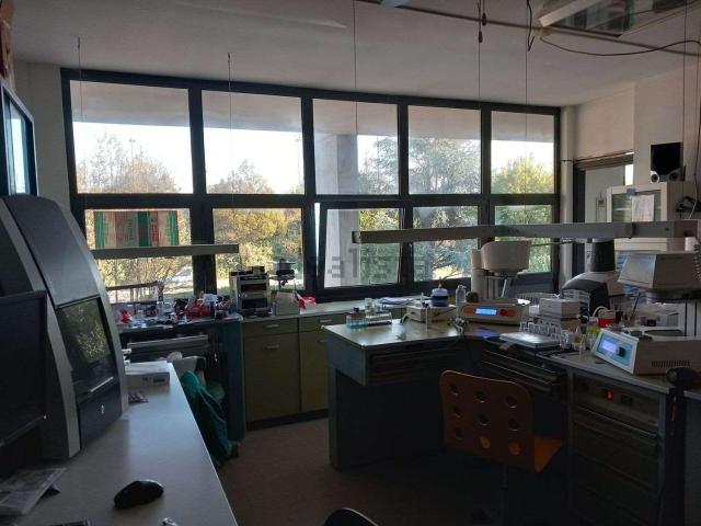 Palazzo in affitto a Acque Chiare, Re