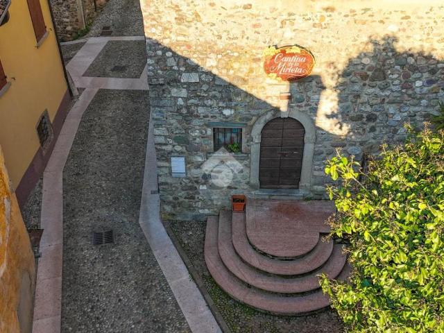 Palazzo in vendita a Cisano, San Felice Del Benaco