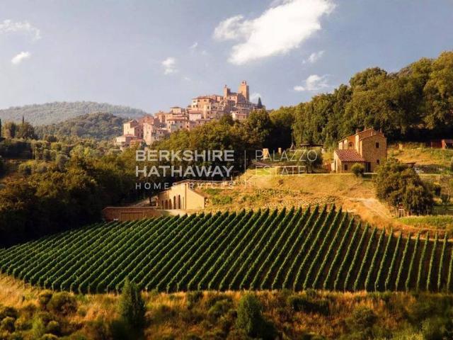 Palazzo in vendita a Trequanda, Toscana