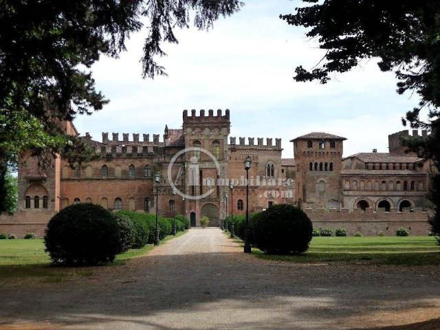Palazzo in vendita a Torre De' Picenardi, Lombardia
