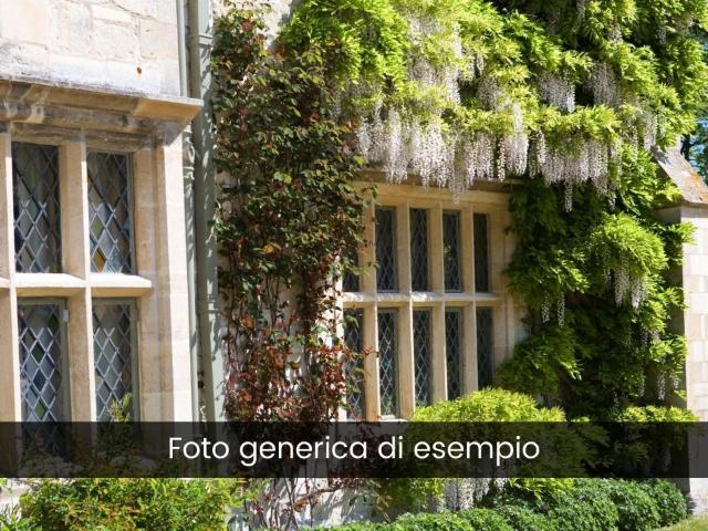 Palazzo in vendita a Rivarolo, Serra Riccò