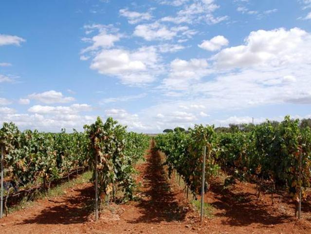 Locale Commerciale in vendita a Puglia, Bari