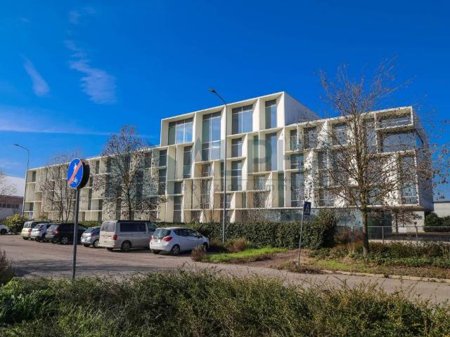 Palazzo in vendita a Unione della Romagna Faentina, Faenza