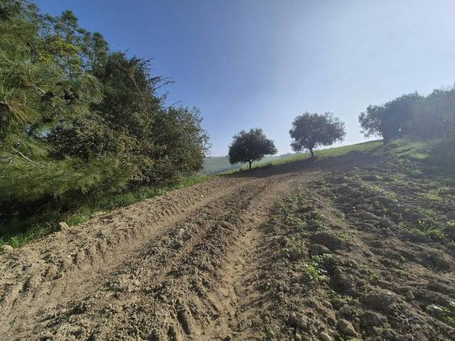 Palazzo in vendita a Marche, Fermo