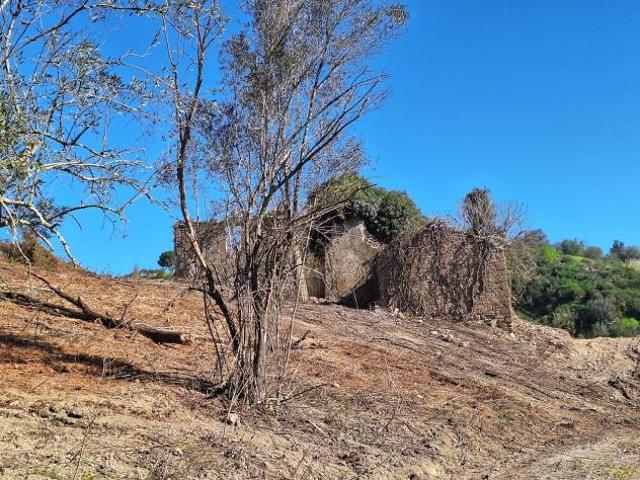 Terreno in vendita a Roma Capitale, Lazio