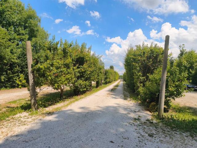 Palazzo in vendita a Unione dei comuni del Sorbara, Nonantola