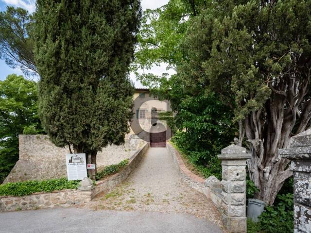 Palazzo in vendita a Radda In Chianti, Toscana