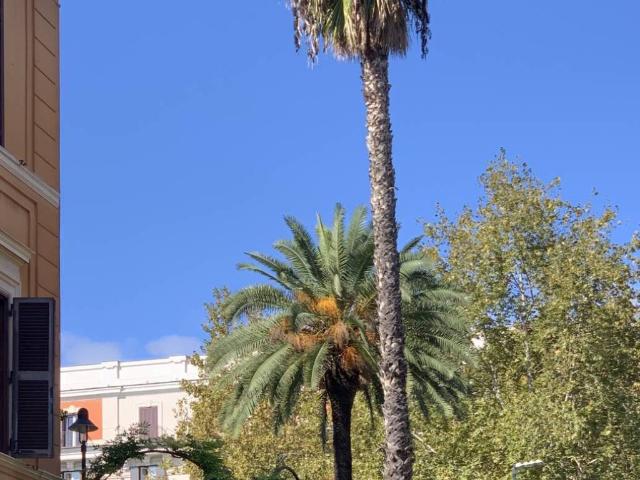 Palazzo in vendita a Nomentano, Roma