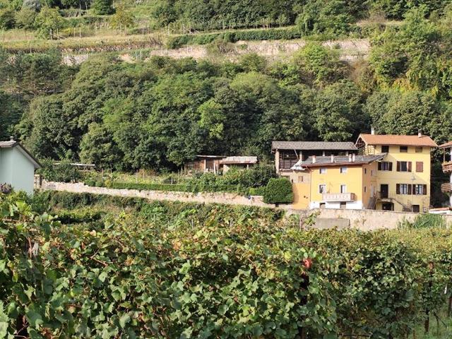 Palazzo in vendita a Territorio Val d'Adige, Trento
