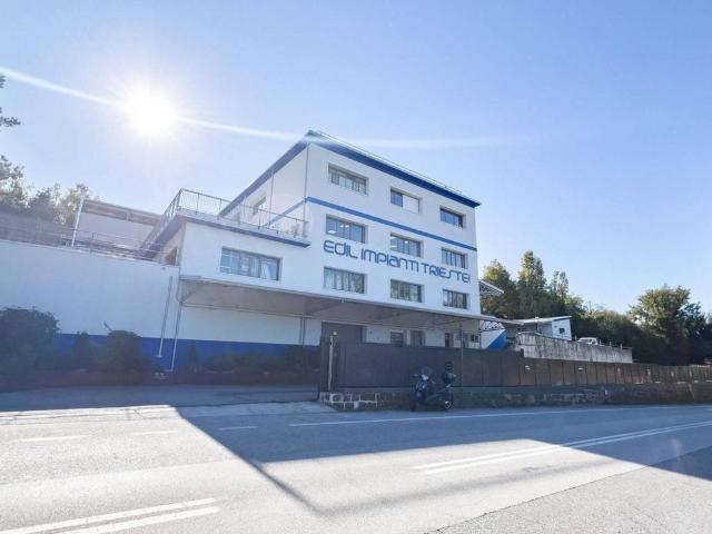 Palazzo in vendita a San Giovanni-Chiadino-Rozzol, Villa Opicina