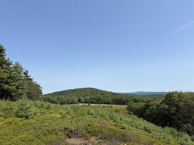 Land for sale in Waldo, Maine