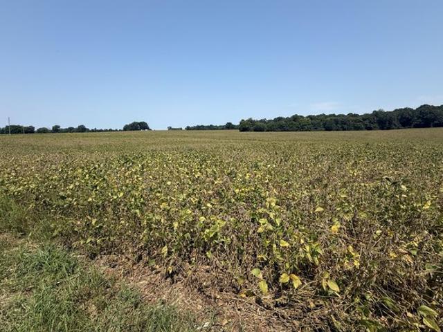 Land for sale in Kentucky
