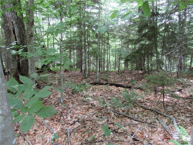Land for sale in Old Forge, New York