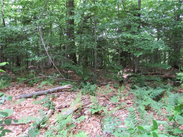 Land for sale in Old Forge, New York