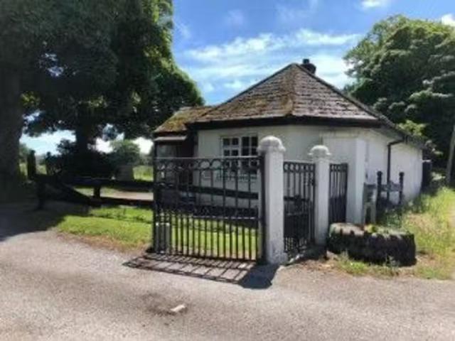 House to rent