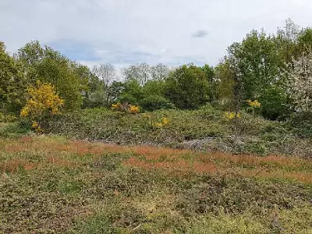 Terrain vente à La Roche-sur-Yon, Palluau
