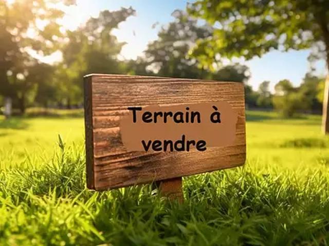 Terrain vente à La Roche-sur-Yon, Palluau
