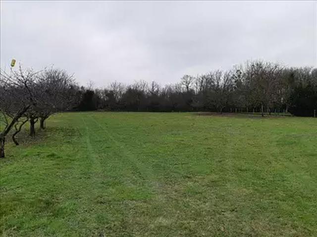 Terrain vente à Palluau-sur-indre