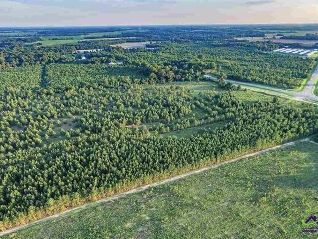 Land for sale in Hawkinsville, Georgia