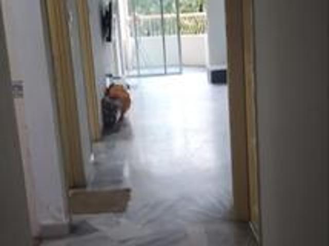 Apartment for rent in Brickfields, Kuala Lumpur