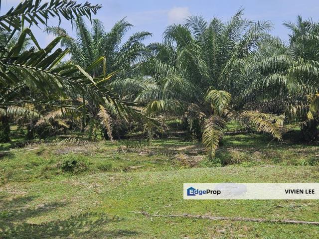 Shop for sale in Perak, Tapah