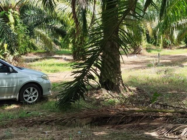 Property for sale in Malaka