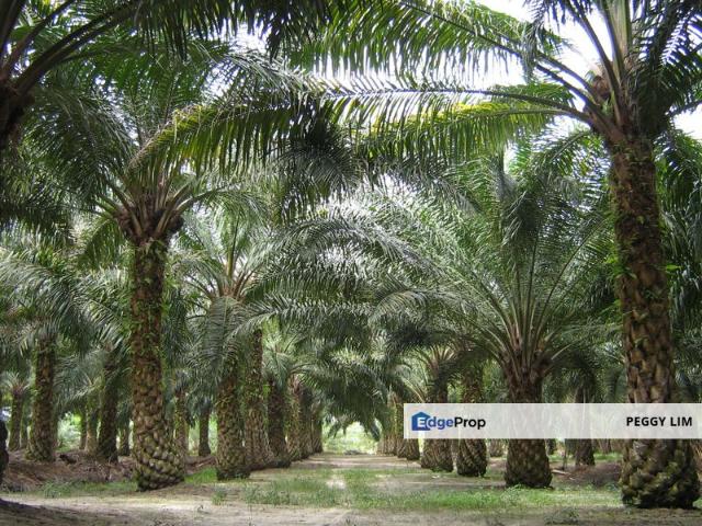 Shop for sale in Perak, Slim River