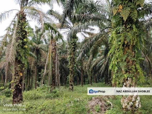 Shop for sale in Rengam, Johor