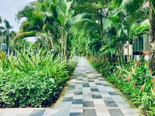 Biệt Thự cho thuê tại Thủ Đức, Hồ Chí Minh
