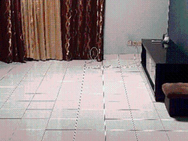 Apartment for rent in Petaling, Damansara Damai