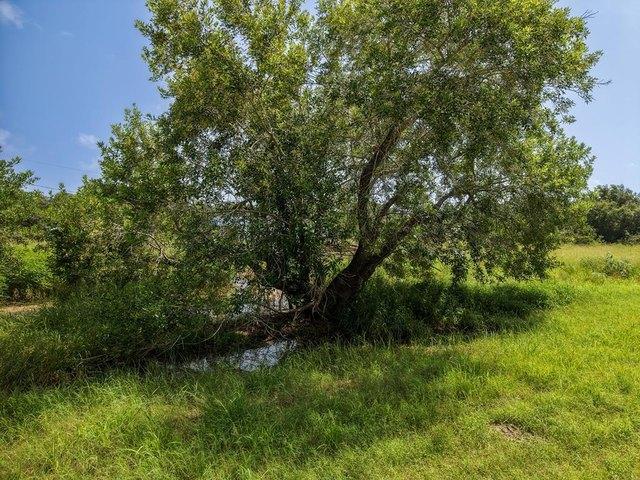 Land for sale in Rockport, Texas
