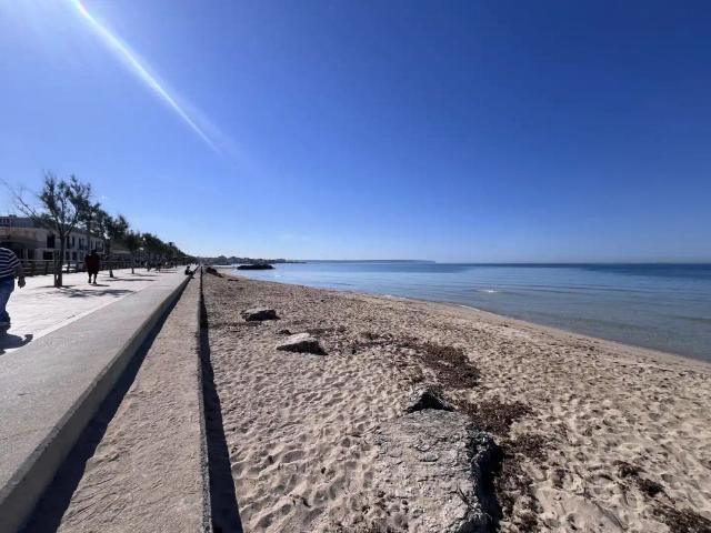 Apartamento en alquiler en es Molinar, Palma