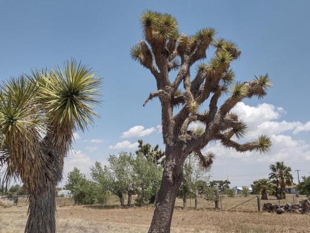 Land for sale in Palmdale Land for sale in Palmdale