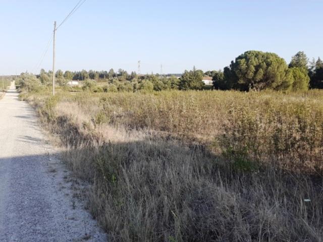 Terreno venda em Poceirão e Marateca, Palmela