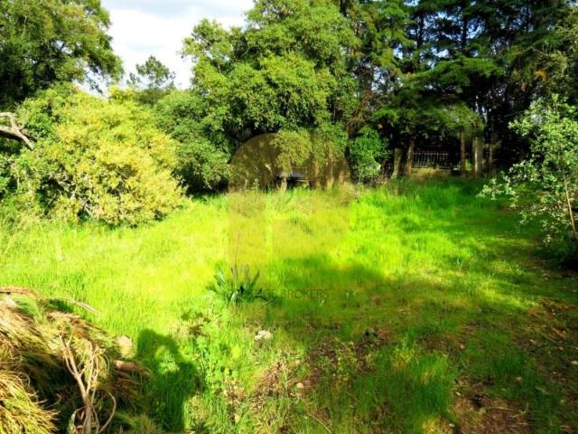 Terreno venda em Portal Branco, Palmela