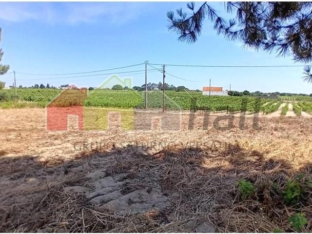 Terreno venda em Palmela, Setúbal