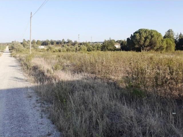Terreno venda em Palmela, Setúbal