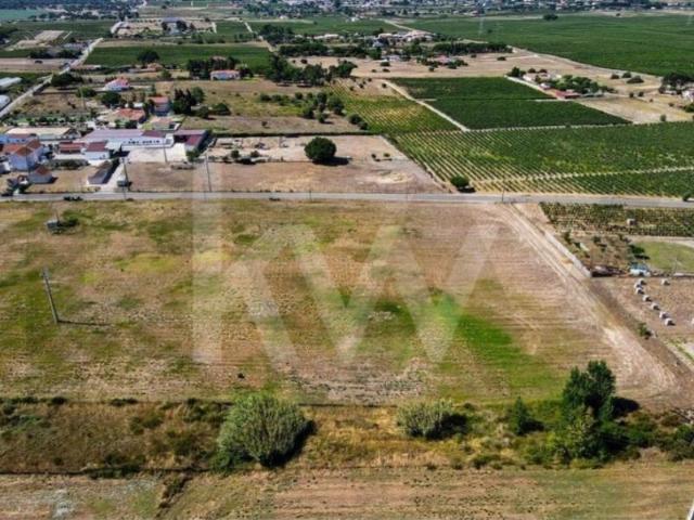 Terreno venda em Poceirão e Marateca, Palmela