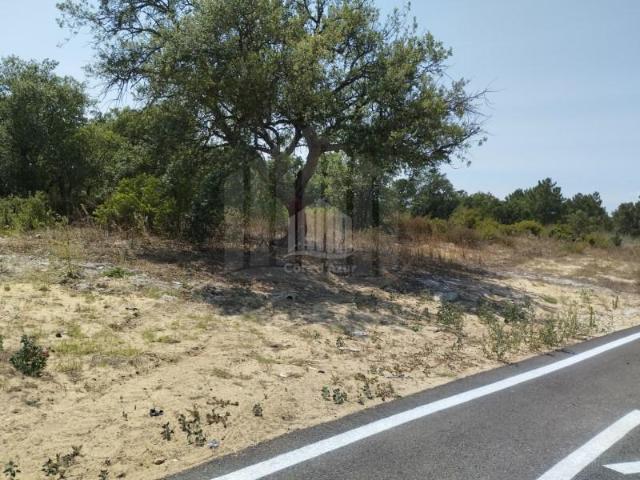 Terreno venda em Palmela, Setúbal