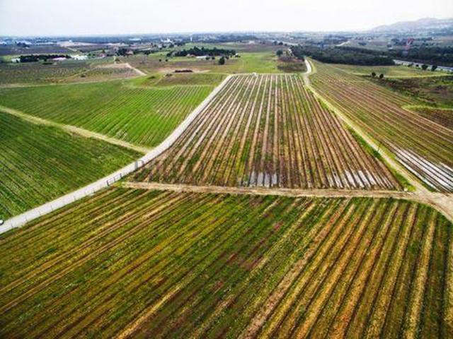 Loja venda em Palmela, Setúbal
