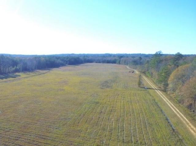 Land for sale in Ellisville, Mississippi