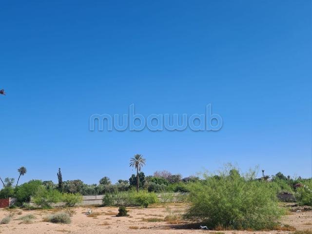 Terrain vente à Marrakech, L'Oriental