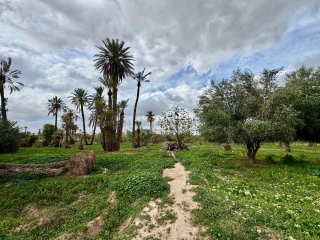 Terrain vente à Marrakech, L'Oriental