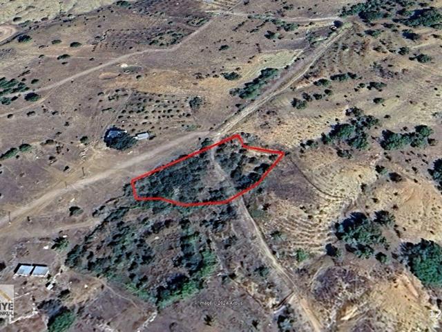Kongul Mahallesi, Taşkent içerisinde satılık mülk
