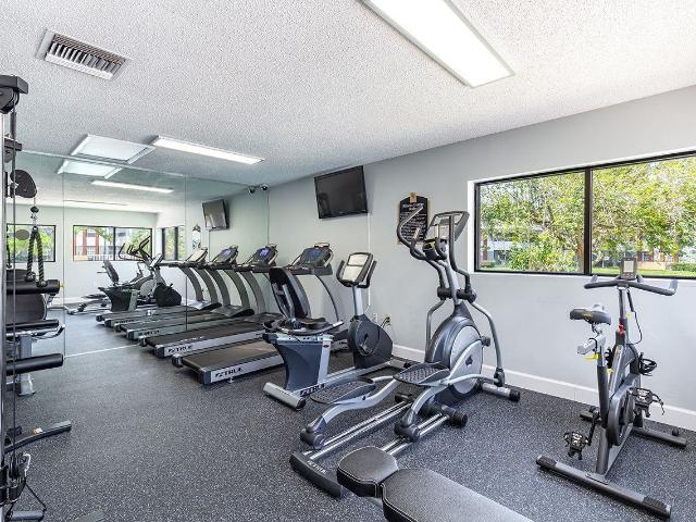 Apartment for rent in Tampa, Florida