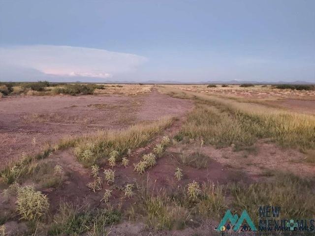 Land for sale in Luna, New Mexico