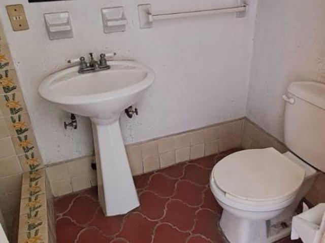 PALOMAR C 3 LB706141O2025706ML