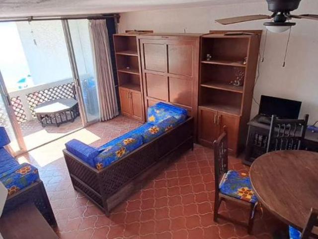 PALOMAR C 3 LB706141O2025706ML